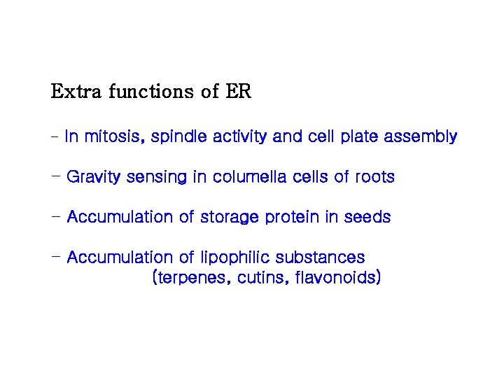 Extra functions of ER - In mitosis, spindle activity and cell plate assembly - Extra functions of ER - In mitosis, spindle activity and cell plate assembly -