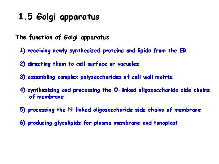 1. 5 Golgi apparatus The function of Golgi apparatus 1) receiving newly synthesized proteins 1. 5 Golgi apparatus The function of Golgi apparatus 1) receiving newly synthesized proteins