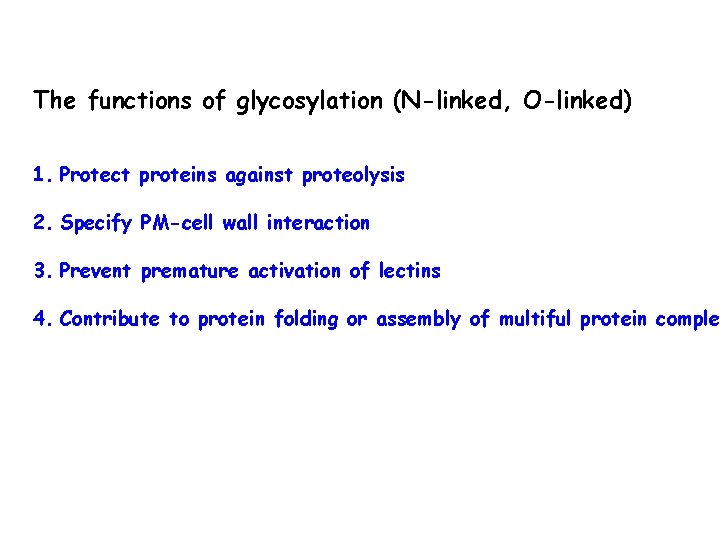 The functions of glycosylation (N-linked, O-linked) 1. Protect proteins against proteolysis 2. Specify PM-cell The functions of glycosylation (N-linked, O-linked) 1. Protect proteins against proteolysis 2. Specify PM-cell