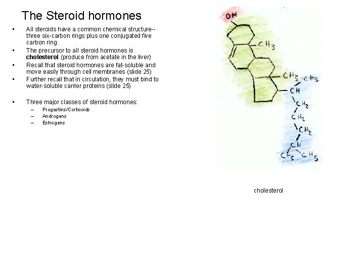 7 and a Half Very Simple Things You Can Do To Save carrot top steroids