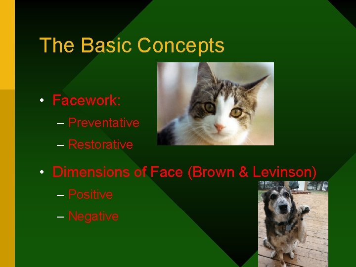 The Basic Concepts • Facework: – Preventative – Restorative • Dimensions of Face (Brown