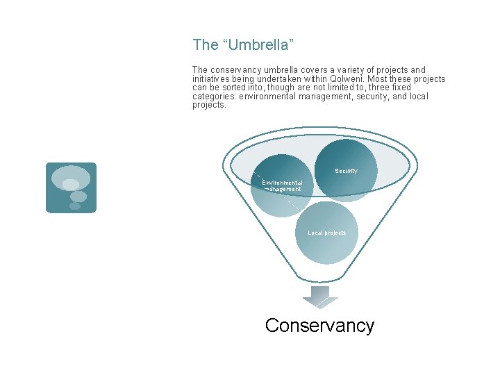 The “Umbrella” The conservancy umbrella covers a variety of projects and initiatives being undertaken
