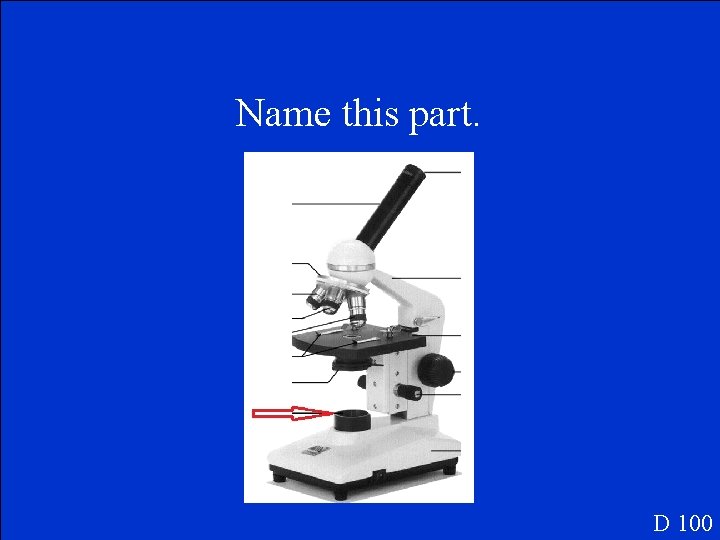 Name this part. D 100 Name this part. D 100