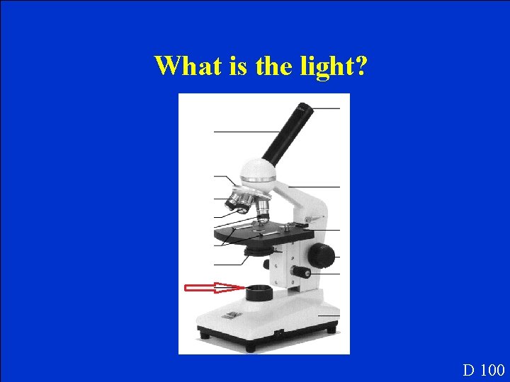 What is the light? D 100 What is the light? D 100