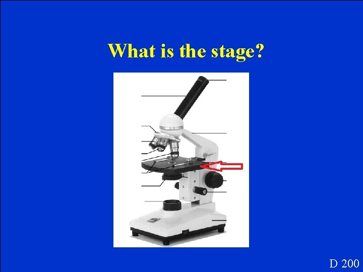 What is the stage? D 200 What is the stage? D 200