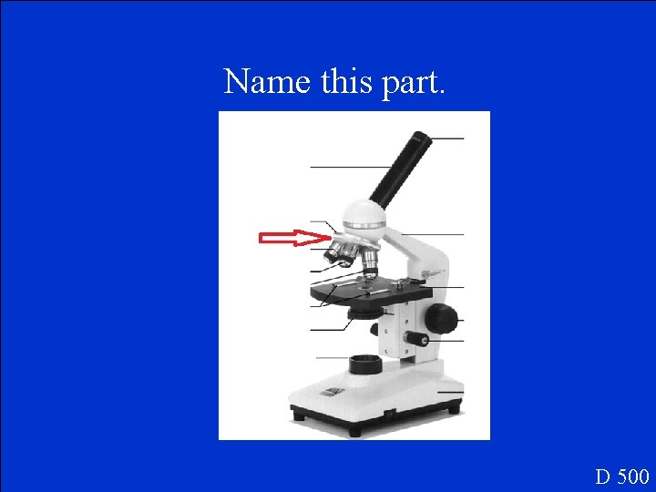 Name this part. D 500 Name this part. D 500