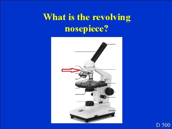 What is the revolving nosepiece? D 500 What is the revolving nosepiece? D 500