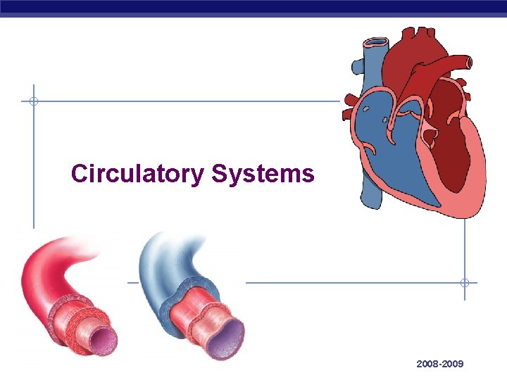 Circulatory Systems AP Biology 2008 -2009 