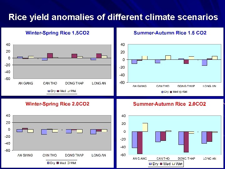 Rice yield anomalies of different climate scenarios 