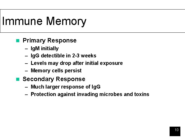 Immune Memory n Primary Response – – n Ig. M initially Ig. G detectible