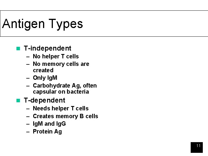 Antigen Types n T-independent – No helper T cells – No memory cells are