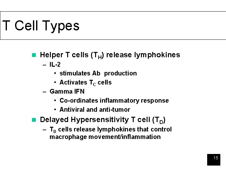 T Cell Types n Helper T cells (TH) release lymphokines – IL-2 • stimulates