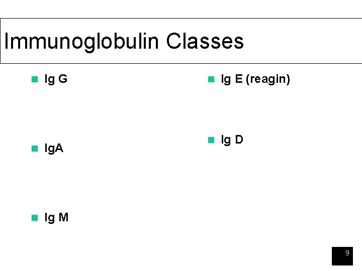 Immunoglobulin Classes n Ig G n Ig. A n Ig M n Ig E