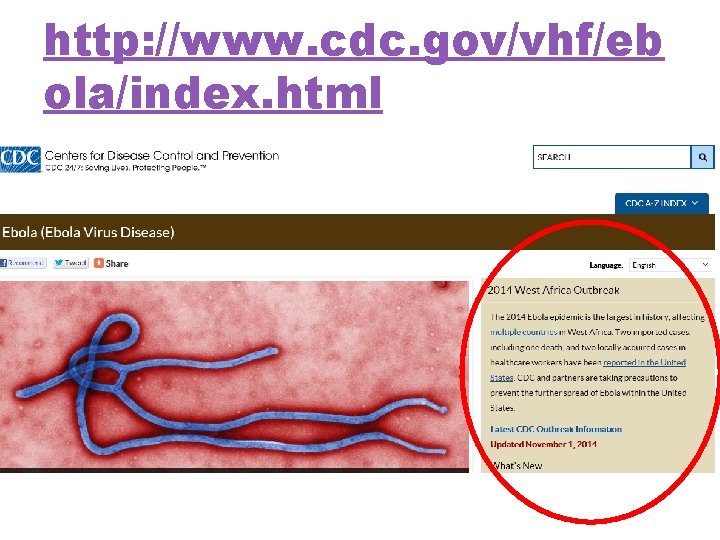 http: //www. cdc. gov/vhf/eb ola/index. html 