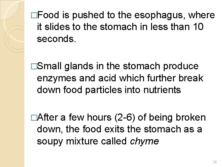 �Food is pushed to the esophagus, where it slides to the stomach in less