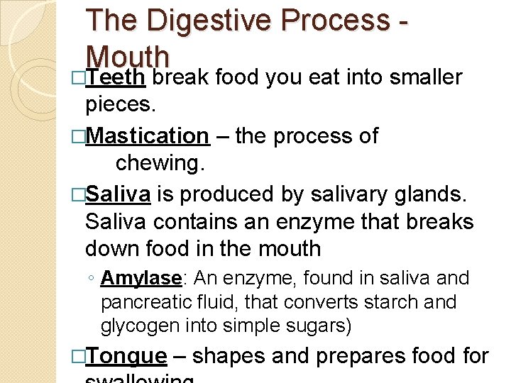 The Digestive Process - Mouth �Teeth break food you eat into smaller pieces. �Mastication