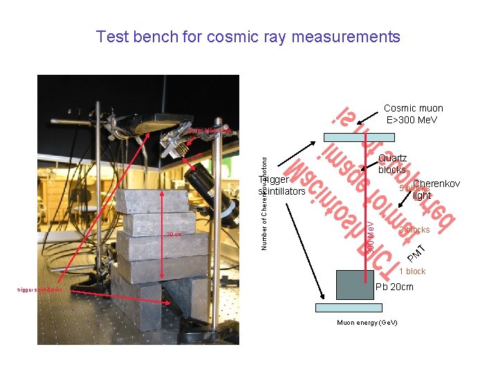 Test bench for cosmic ray measurements Cosmic muon E>300 Me. V 5 cm Number