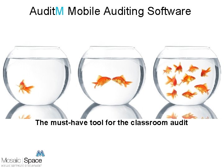 Audit. M Mobile Auditing Software The must-have tool for the classroom audit 