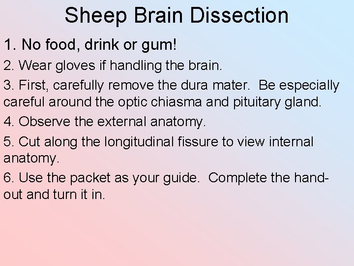 Sheep Brain Dissection 1. No food, drink or gum! 2. Wear gloves if handling