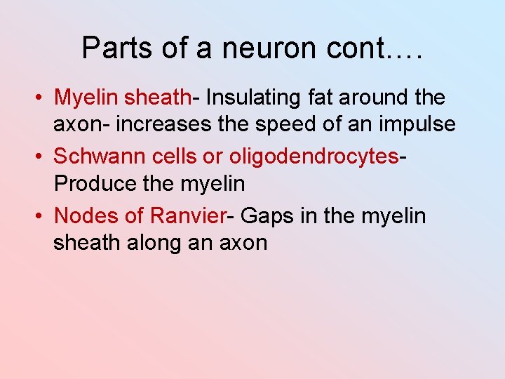 Parts of a neuron cont…. • Myelin sheath- Insulating fat around the axon- increases