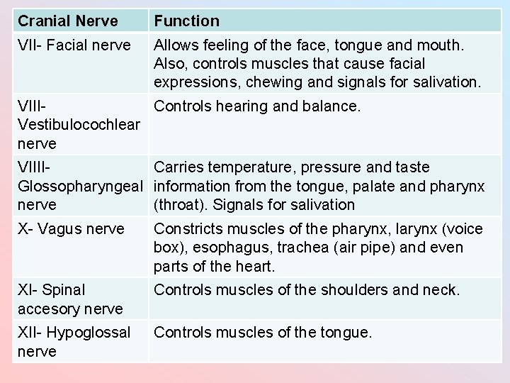 Cranial Nerve Function VII- Facial nerve Allows feeling of the face, tongue and mouth.