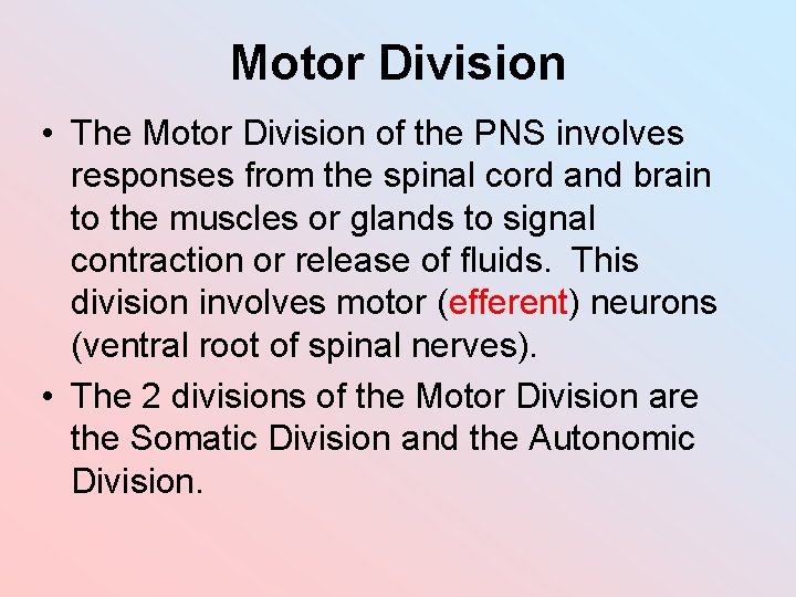 Motor Division • The Motor Division of the PNS involves responses from the spinal Motor Division • The Motor Division of the PNS involves responses from the spinal