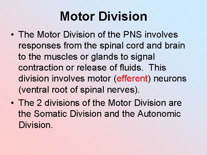 Motor Division • The Motor Division of the PNS involves responses from the spinal