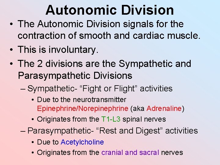 Autonomic Division • The Autonomic Division signals for the contraction of smooth and cardiac