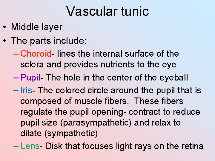 Vascular tunic • Middle layer • The parts include: – Choroid- lines the internal