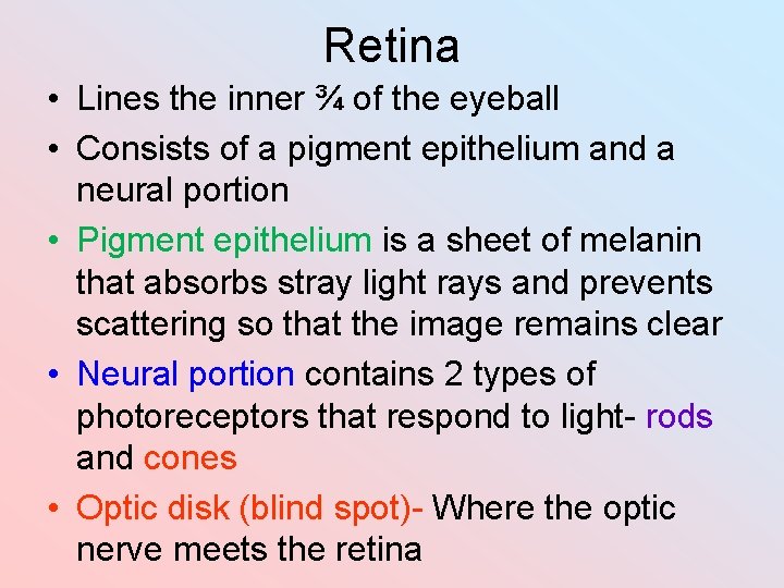 Retina • Lines the inner ¾ of the eyeball • Consists of a pigment