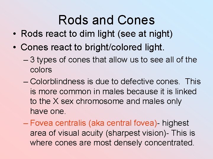 Rods and Cones • Rods react to dim light (see at night) • Cones