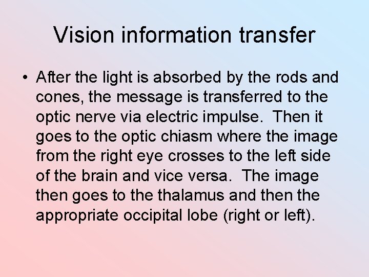 Vision information transfer • After the light is absorbed by the rods and cones,