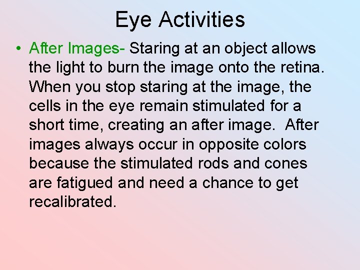 Eye Activities • After Images- Staring at an object allows the light to burn