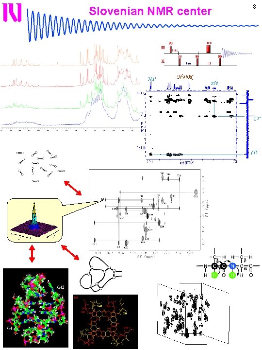 Slovenian NMR center 8 