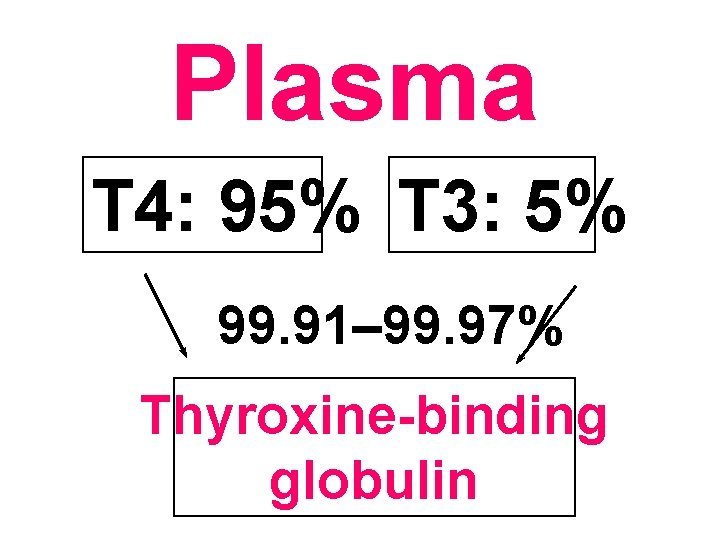 Plasma T 4: 95% T 3: 5% 99. 91– 99. 97% Thyroxine-binding globulin 