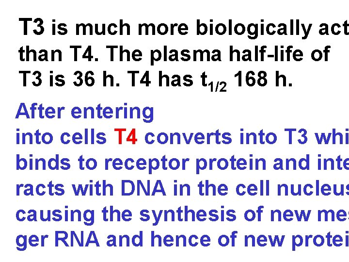 T 3 is much more biologically act than T 4. The plasma half-life of