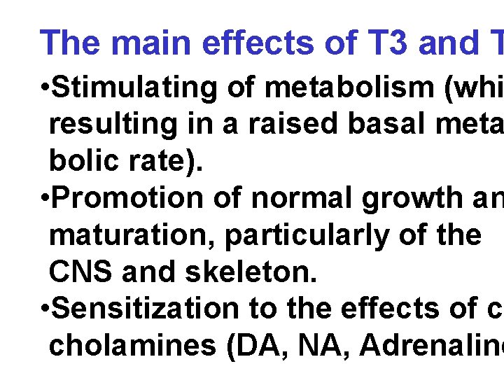 The main effects of T 3 and T • Stimulating of metabolism (whi resulting