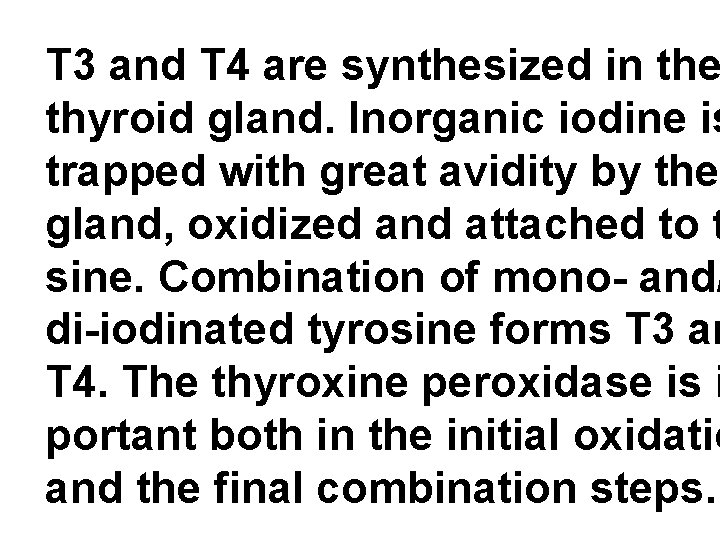 T 3 and T 4 are synthesized in the thyroid gland. Inorganic iodine is