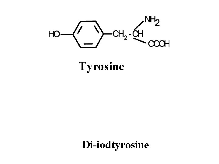 Tyrosine Di-iodtyrosine 