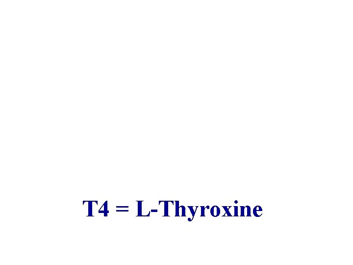 T 4 = L-Thyroxine 