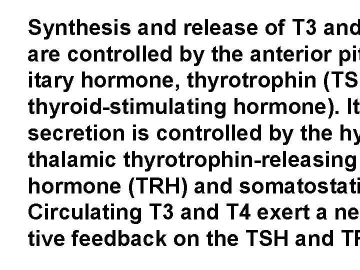 Synthesis and release of T 3 and are controlled by the anterior pit itary