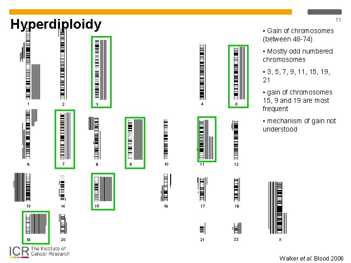 Hyperdiploidy 11 • Gain of chromosomes (between 48 -74) • Mostly odd numbered chromosomes Hyperdiploidy 11 • Gain of chromosomes (between 48 -74) • Mostly odd numbered chromosomes