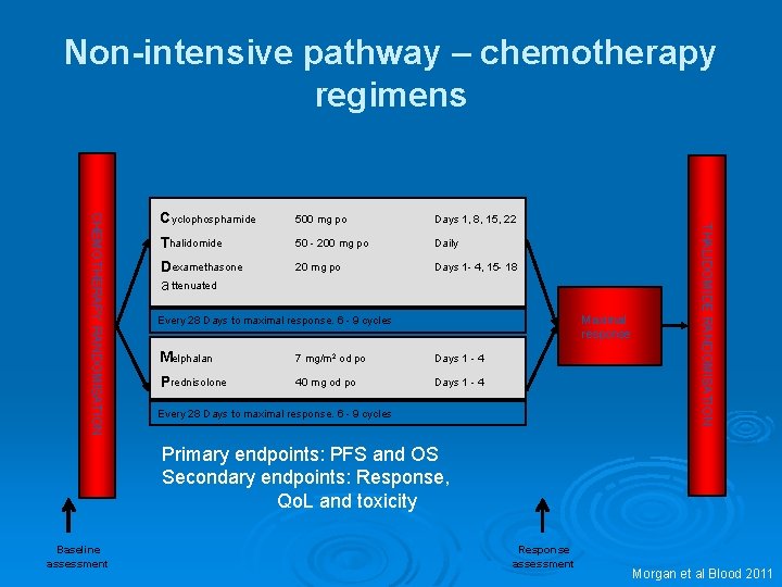 Non-intensive pathway – chemotherapy regimens 500 mg po Days 1, 8, 15, 22 Thalidomide Non-intensive pathway – chemotherapy regimens 500 mg po Days 1, 8, 15, 22 Thalidomide
