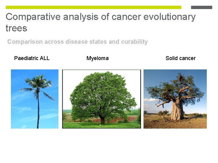 Comparative analysis of cancer evolutionary trees Comparison across disease states and curability Paediatric ALL Comparative analysis of cancer evolutionary trees Comparison across disease states and curability Paediatric ALL