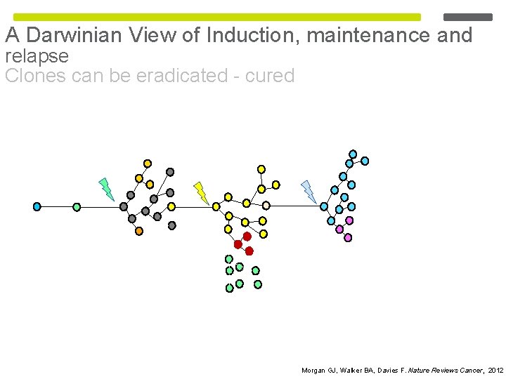 A Darwinian View of Induction, maintenance and relapse Clones can be eradicated - cured A Darwinian View of Induction, maintenance and relapse Clones can be eradicated - cured
