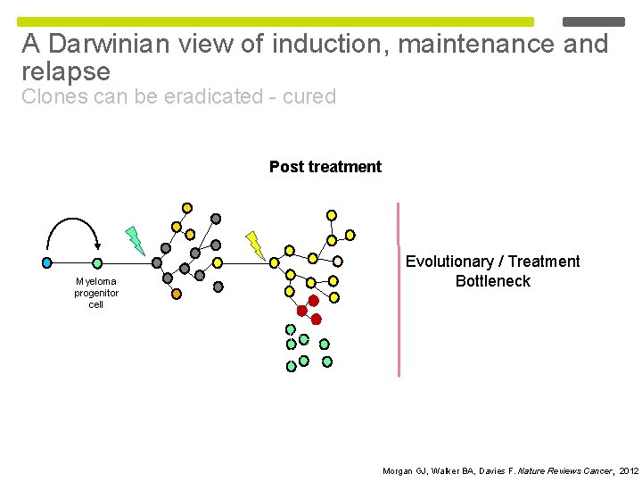 A Darwinian view of induction, maintenance and relapse Clones can be eradicated - cured A Darwinian view of induction, maintenance and relapse Clones can be eradicated - cured