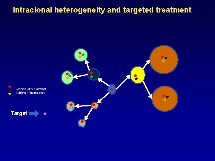 Intraclonal heterogeneity and targeted treatment Clones with a distinct pattern of mutations Target Intraclonal heterogeneity and targeted treatment Clones with a distinct pattern of mutations Target