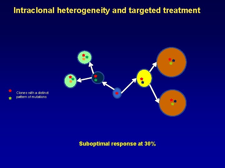 Intraclonal heterogeneity and targeted treatment Clones with a distinct pattern of mutations Suboptimal response Intraclonal heterogeneity and targeted treatment Clones with a distinct pattern of mutations Suboptimal response
