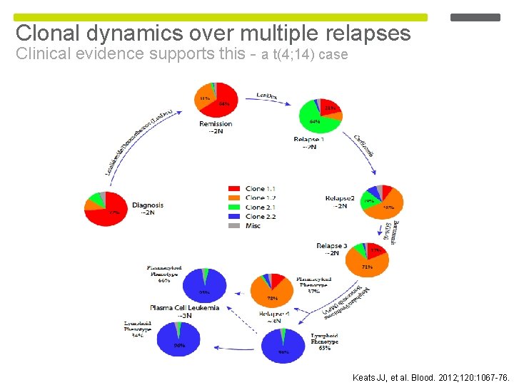 Clonal dynamics over multiple relapses Clinical evidence supports this - a t(4; 14) case Clonal dynamics over multiple relapses Clinical evidence supports this - a t(4; 14) case