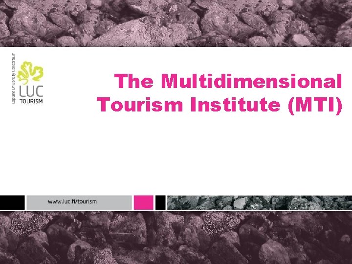 The Multidimensional Tourism Institute (MTI) 
